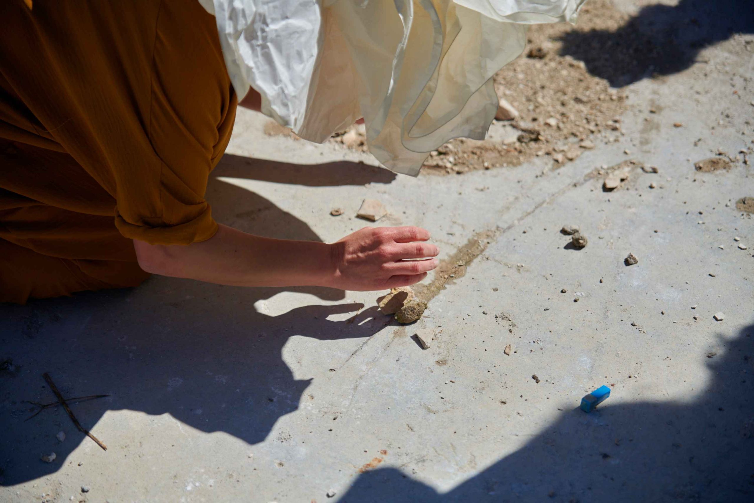 Ekologija uma i čišćenje terena u Ližnjanu